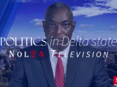 Delta North in the Senate: Comparing Okowa, Nwaoboshi, and Nwoko’s Legacy